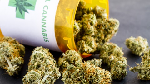 Cannabis terapeutica
